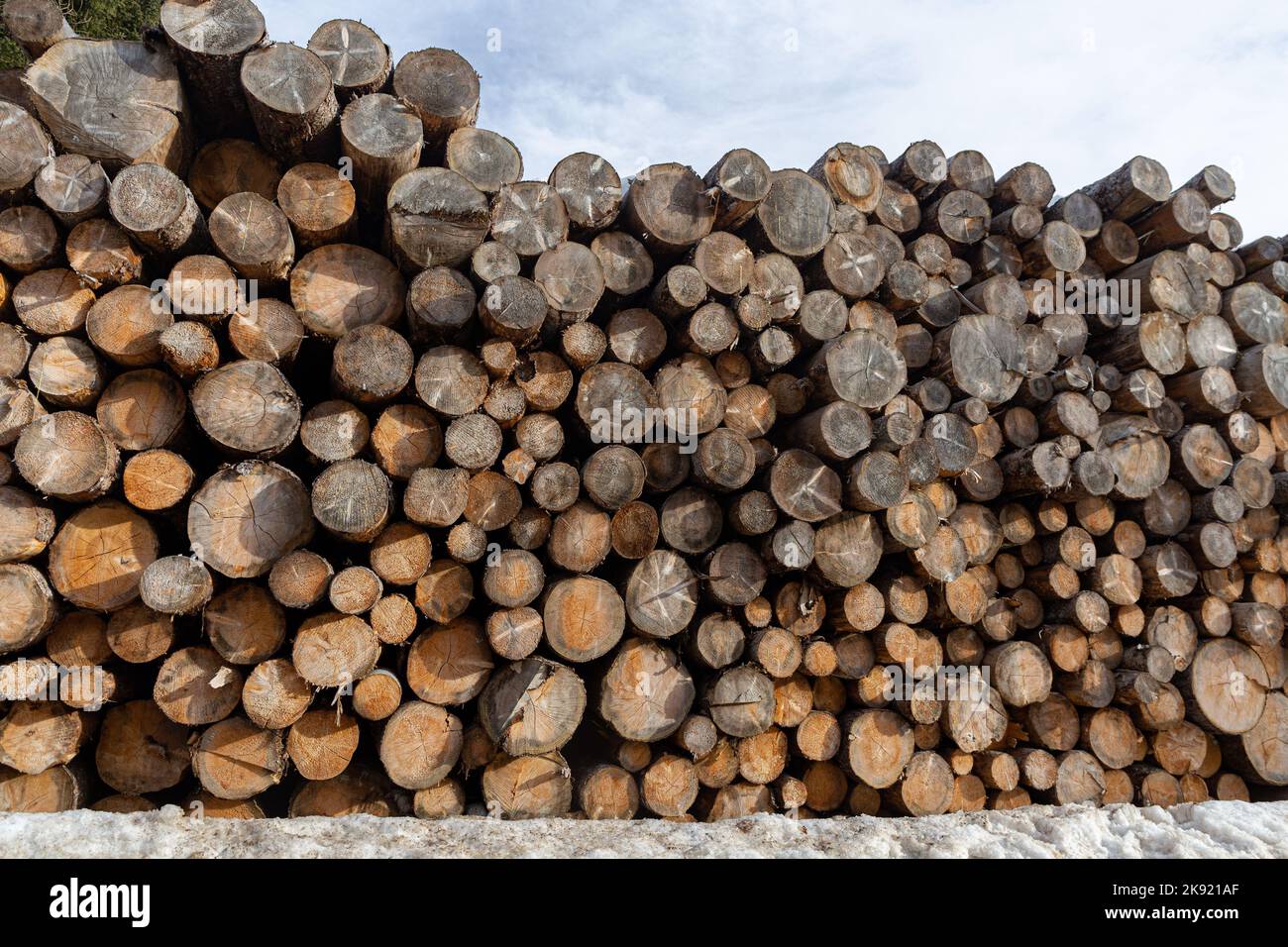 stack of wood, chopped wood logs Stock Photo
