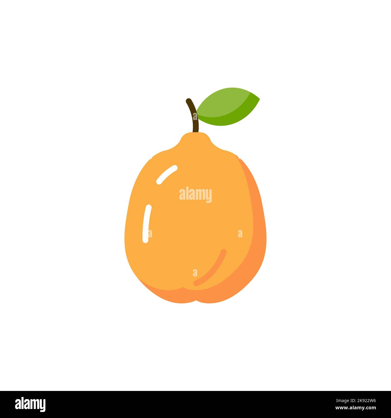 Quince illustration hi-res stock photography and images - Alamy