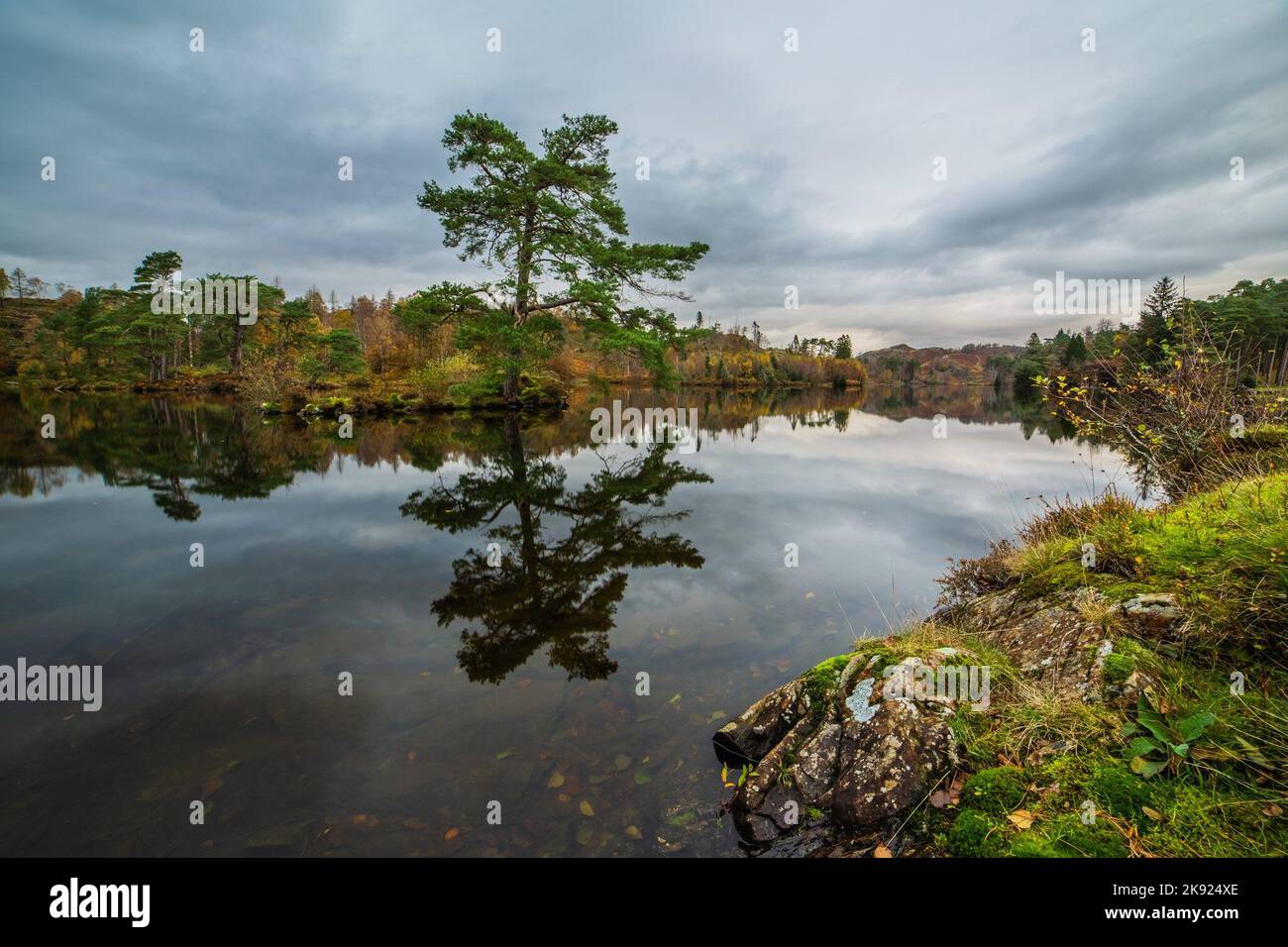 Tarn Hows, Coniston, Cumbria, UK. 25th October 2022. UK Weather. Autumn colours from Coniston in the English Lake District. Credit:greenburn/Alamy Live News. Stock Photo