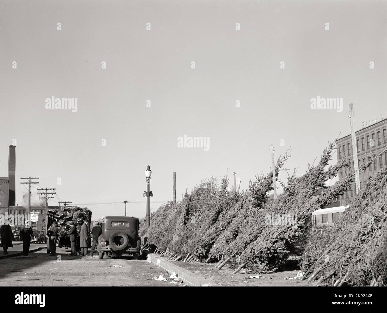Christmas trees for sale at the market in Providence, Rhode Island 1940