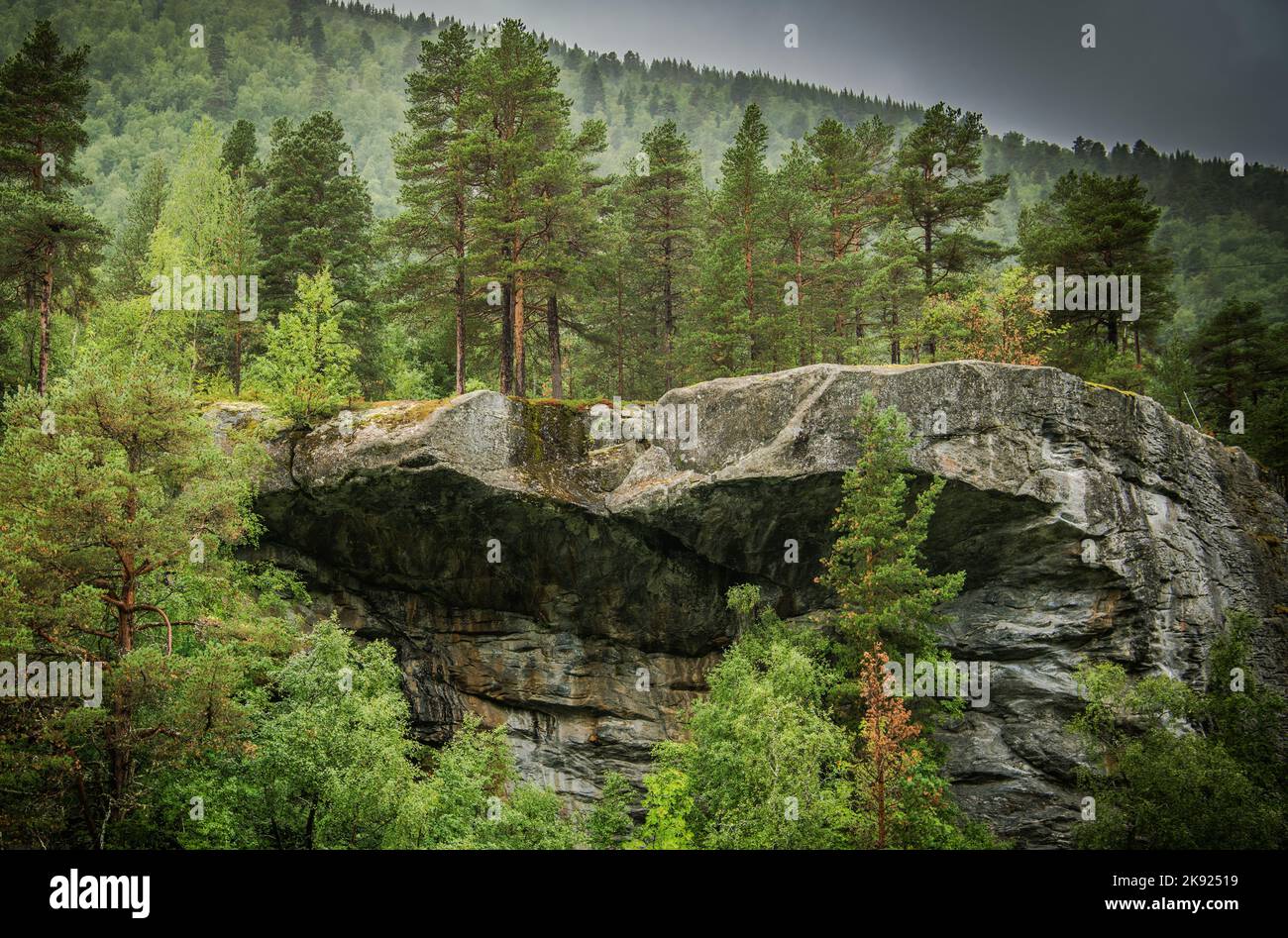 Large Rock Deep in Coniferous Forest Surrounded by Countless Trees. Beautiful Nature of Norway. Scenic Green Landscape. Stock Photo