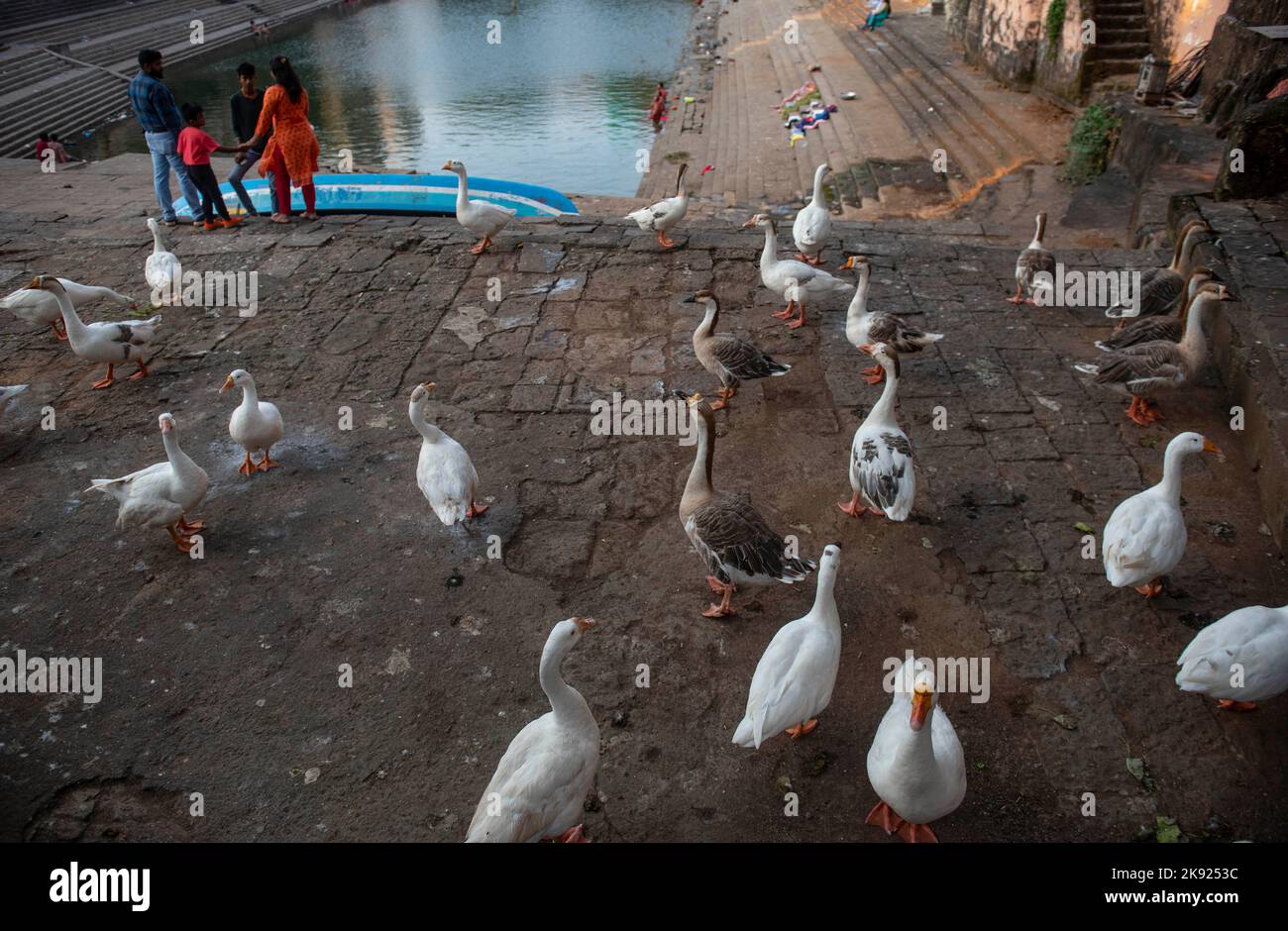 Mumbai, India. 25th Oct, 2022. MUMBAI, INDIA - OCTOBER 25: Indian Hindu ...