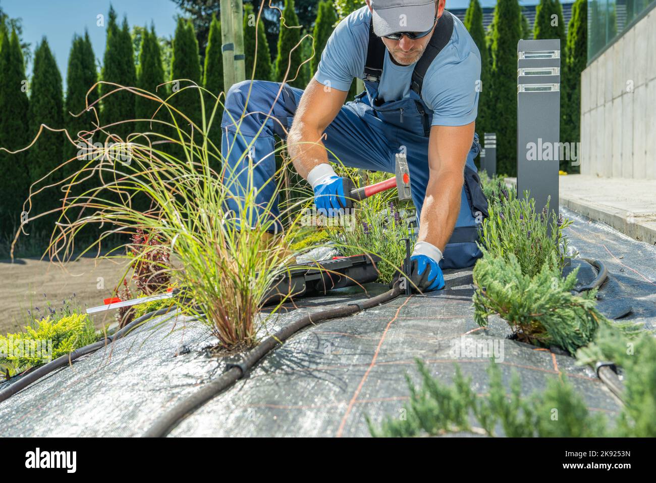 Caucasian Gardener Installing Pipeline to Provide Water Supply to Plants by Automatic Irrigation System. Garden Care and Maintenance Theme. Stock Photo
