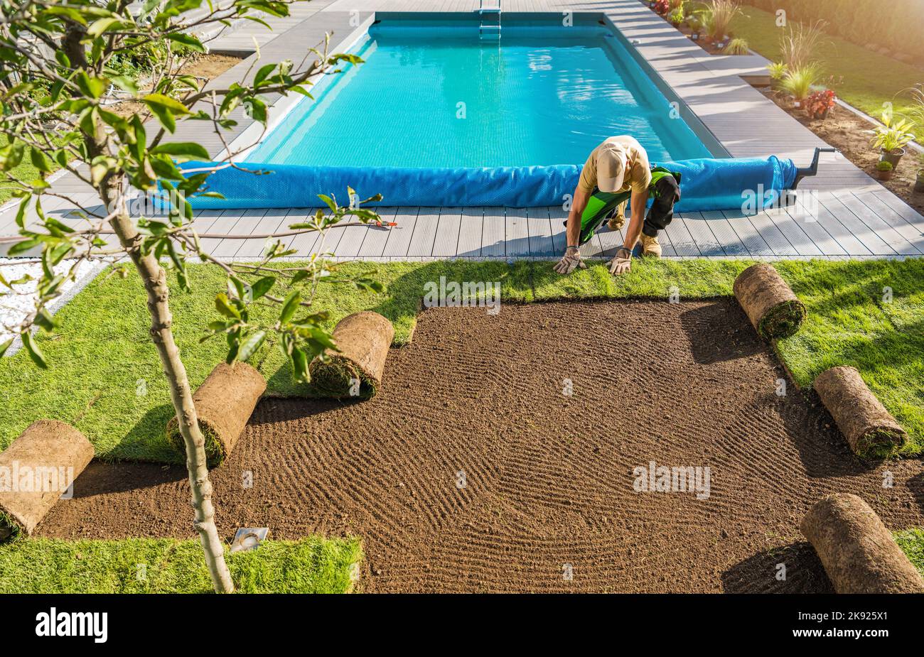 Professional Gardener Installing Roll Out Instant Lawn of Natural Grass Turfs Next to Outdoor Swimming Pool in the Backyard Garden. Landscaping Theme. Stock Photo