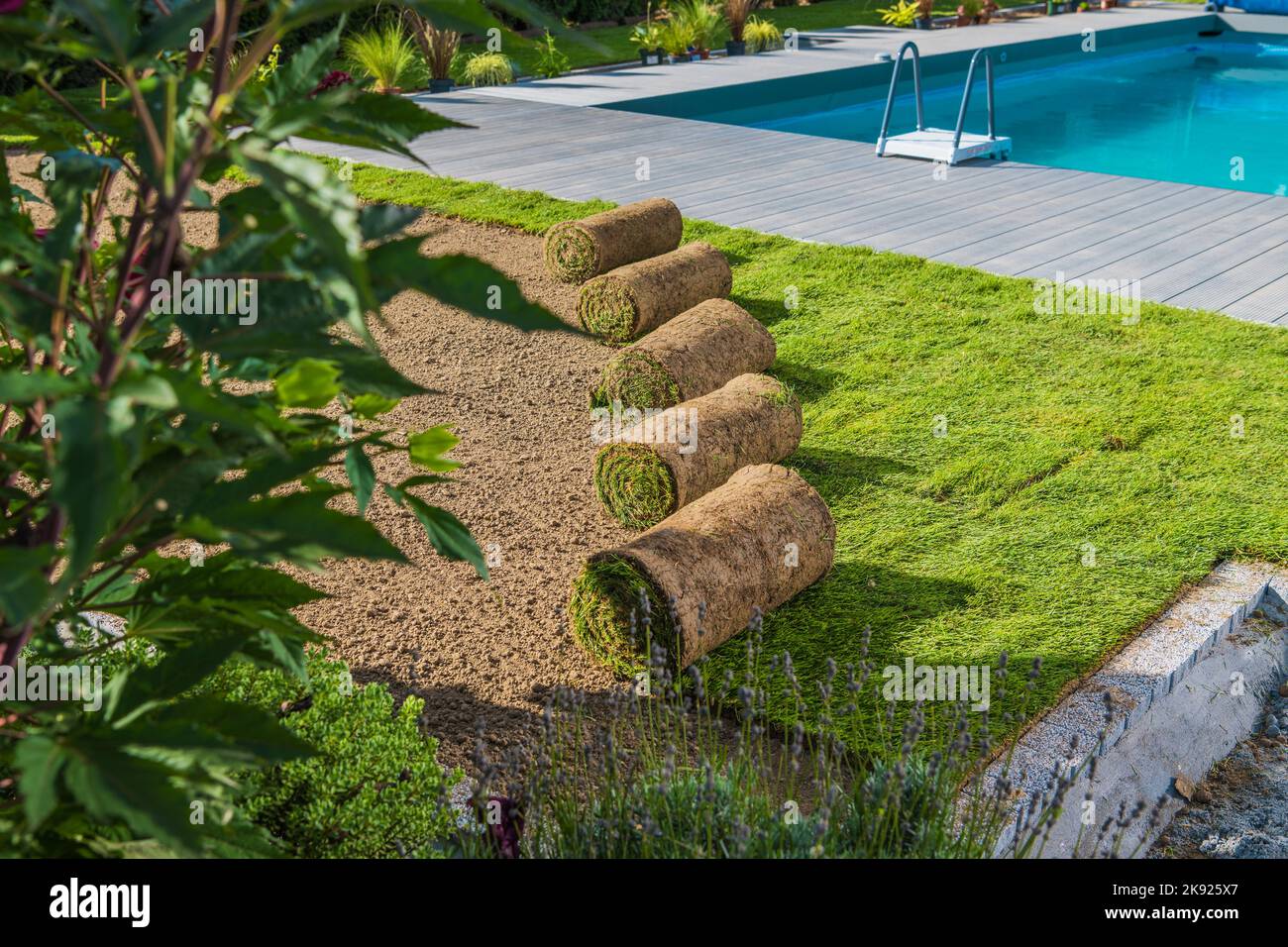 Turf Grass Rolls Laying on the Ground Ready to Be Installed. Roll Out Lawn in the Making. Outdoor Swimming Pool in the Background. Backyard Landscapin Stock Photo
