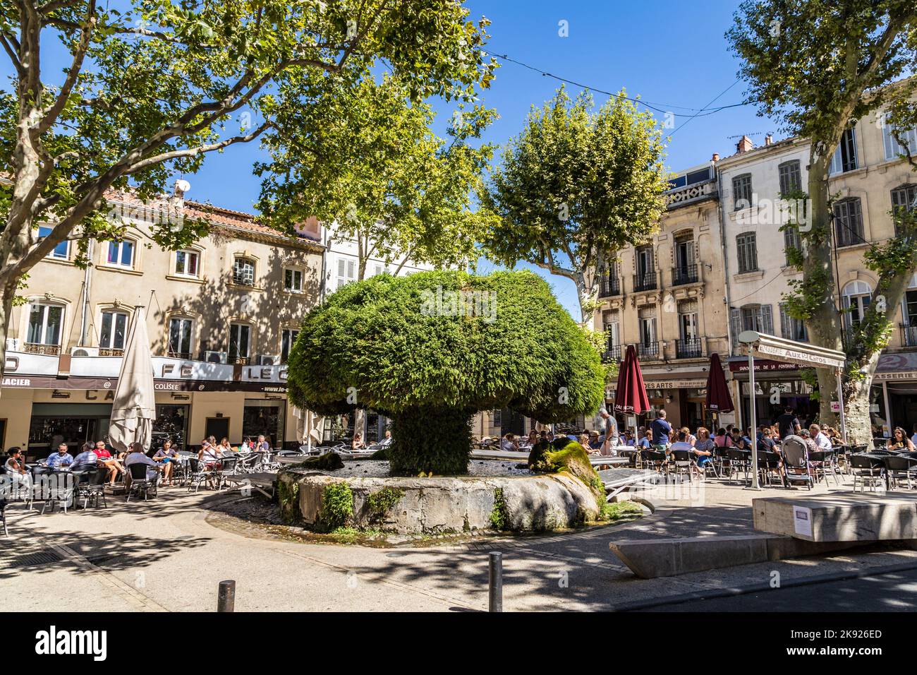 SALON DE PROVENCE, FRANCE AUG 21, 2016 people at the famous with green covered plants