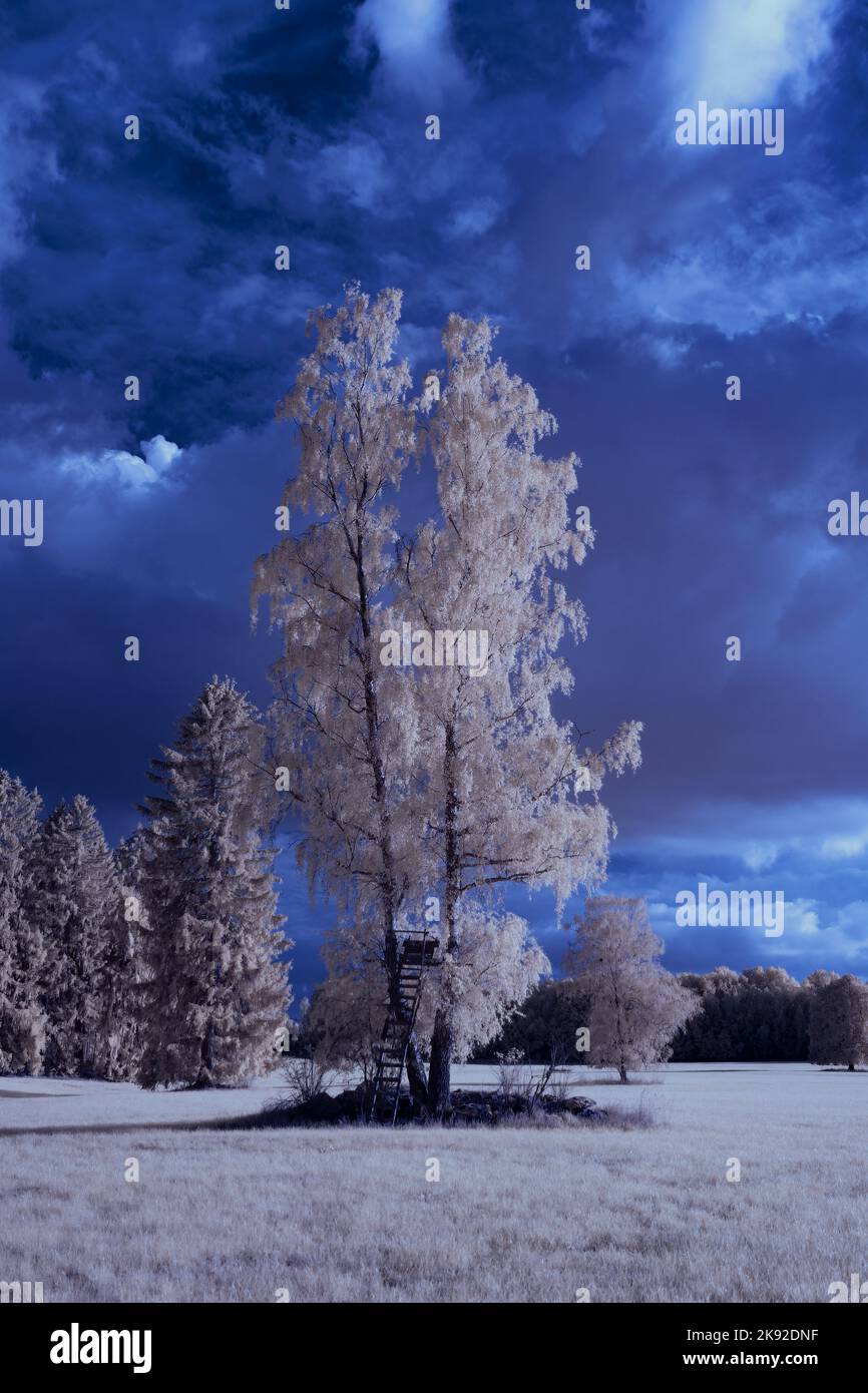 infrared photography ir photo of landscape under sky with clouds