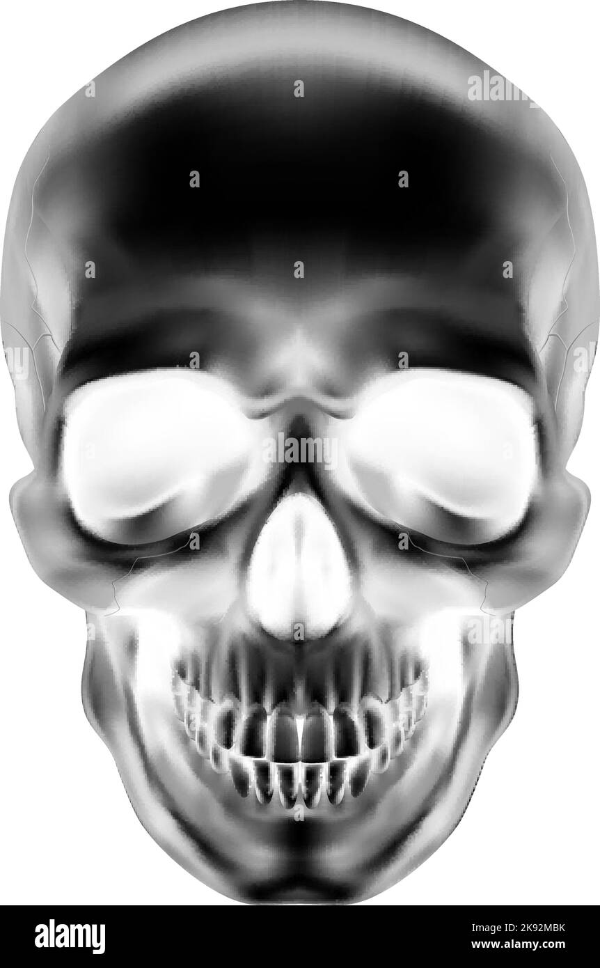Human Skull on White Background. The Concept of Death, Horror. A Symbol of Spooky Halloween Stock Vector