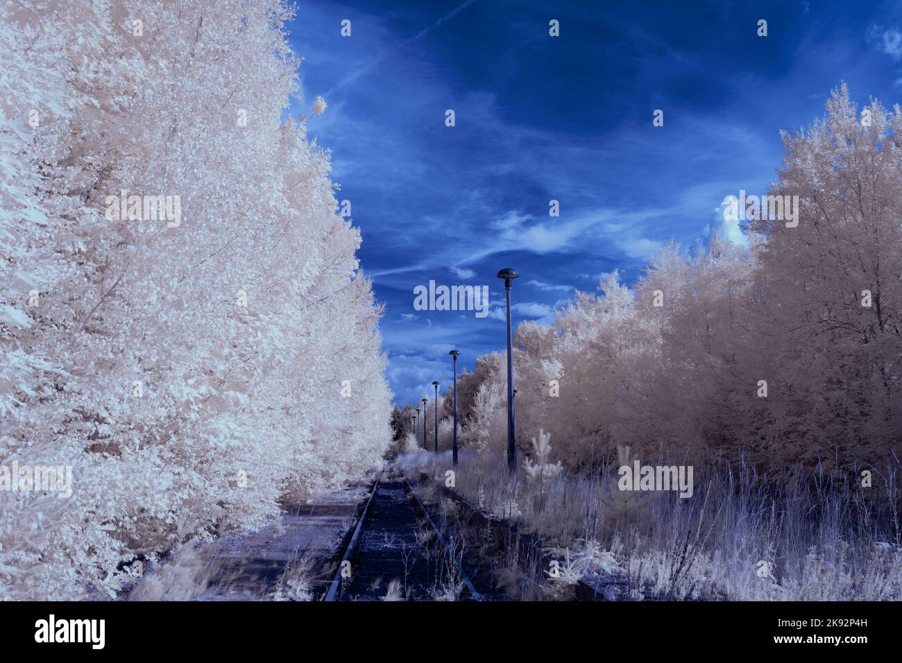 Infrared 720nm landscape with glowing white vegetation, surreal ...