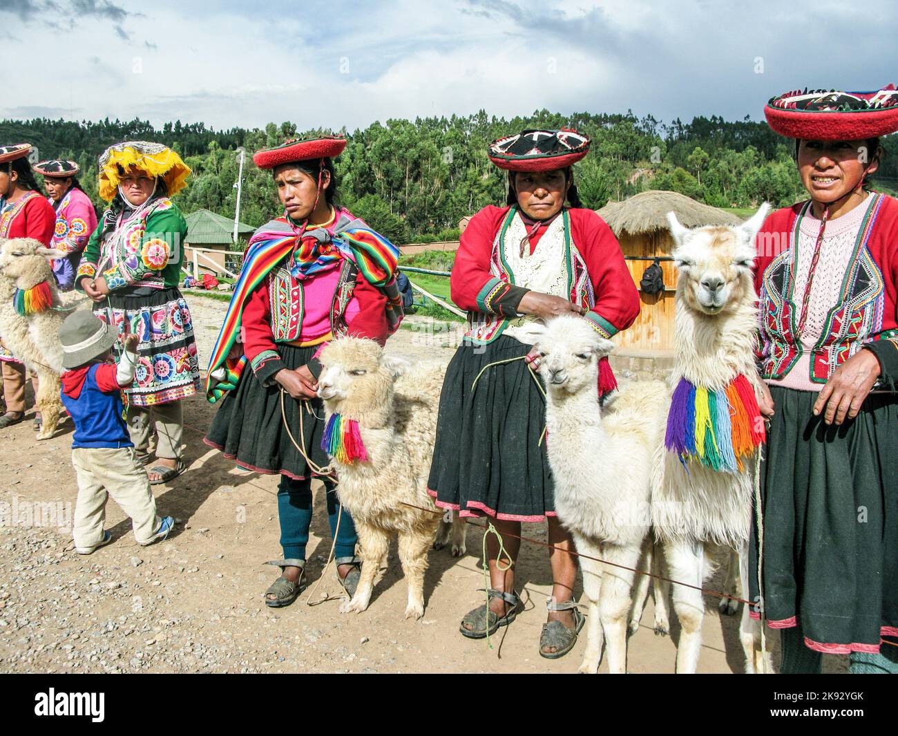 Llama sacsayhuaman peru hi-res stock photography and images - Alamy