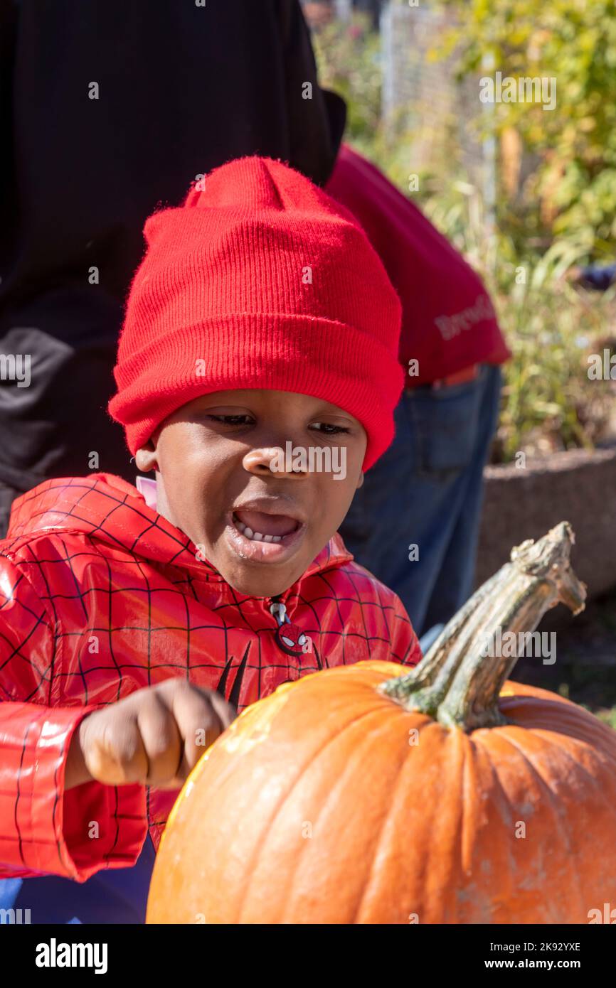 Detroit, Michigan - A boy paints a pumpking at a fall festival in Detroit's Morningside neighborhood. The event was organized by the Motor City Ground Stock Photo