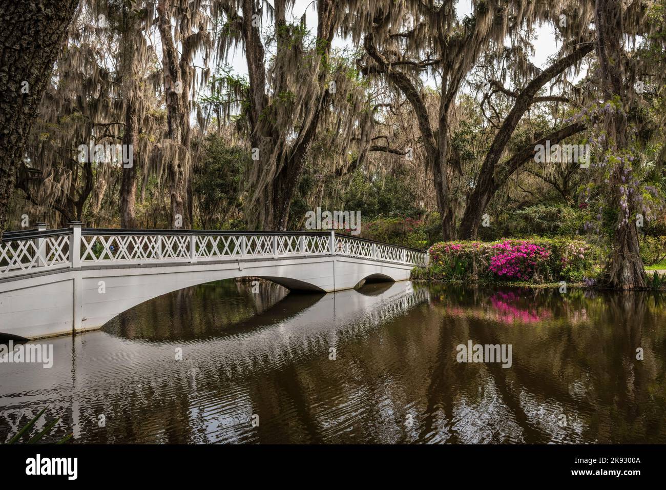 White bridge reflected in the water of a swamp surrounded by trees covered in Spanish Moss Stock Photo
