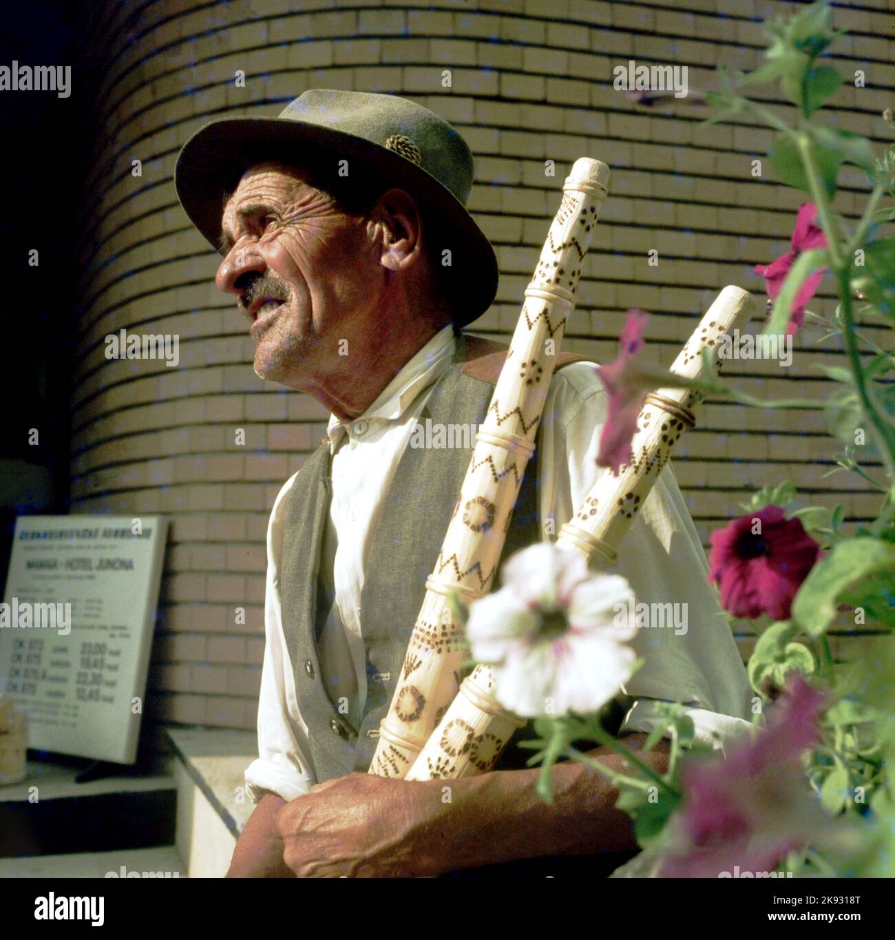 Romanian man holding two alphorns, decorated with traditional folk symbols, approx. 1973 Stock Photo