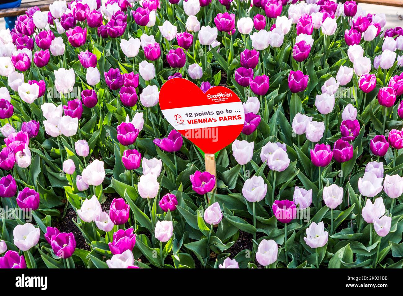 VIENNA, AUSTRIA - APR 27, 2015:  heart shape in the park with tulips for the european song contest in Vienna, Austria. Conchita Wurst was the winner i Stock Photo