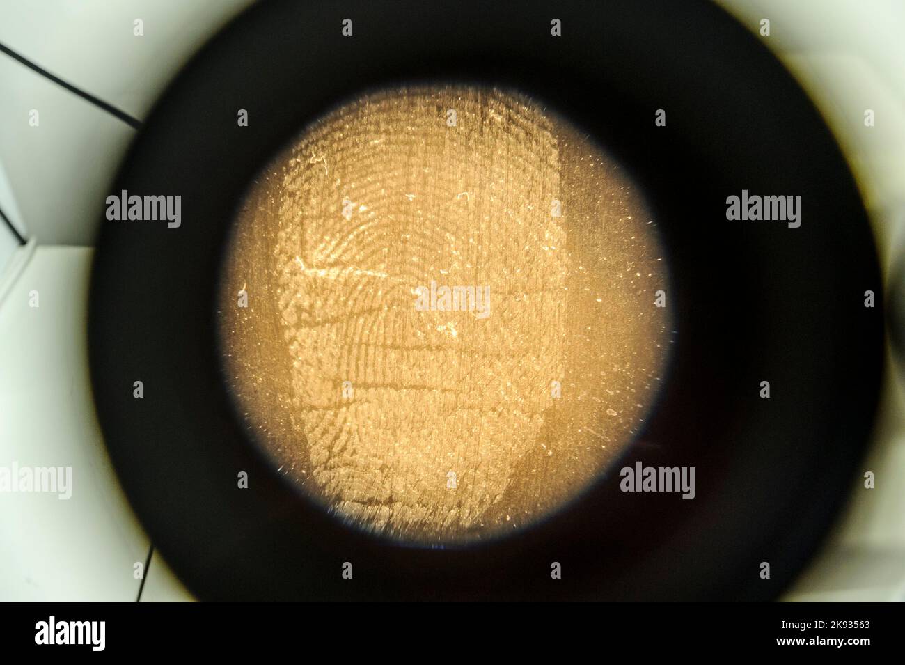 CSI (Crime Scene Investigation) techniques and procedures training at police academy, fingerprint seen trough microscope and magnifying glass loupe Stock Photo