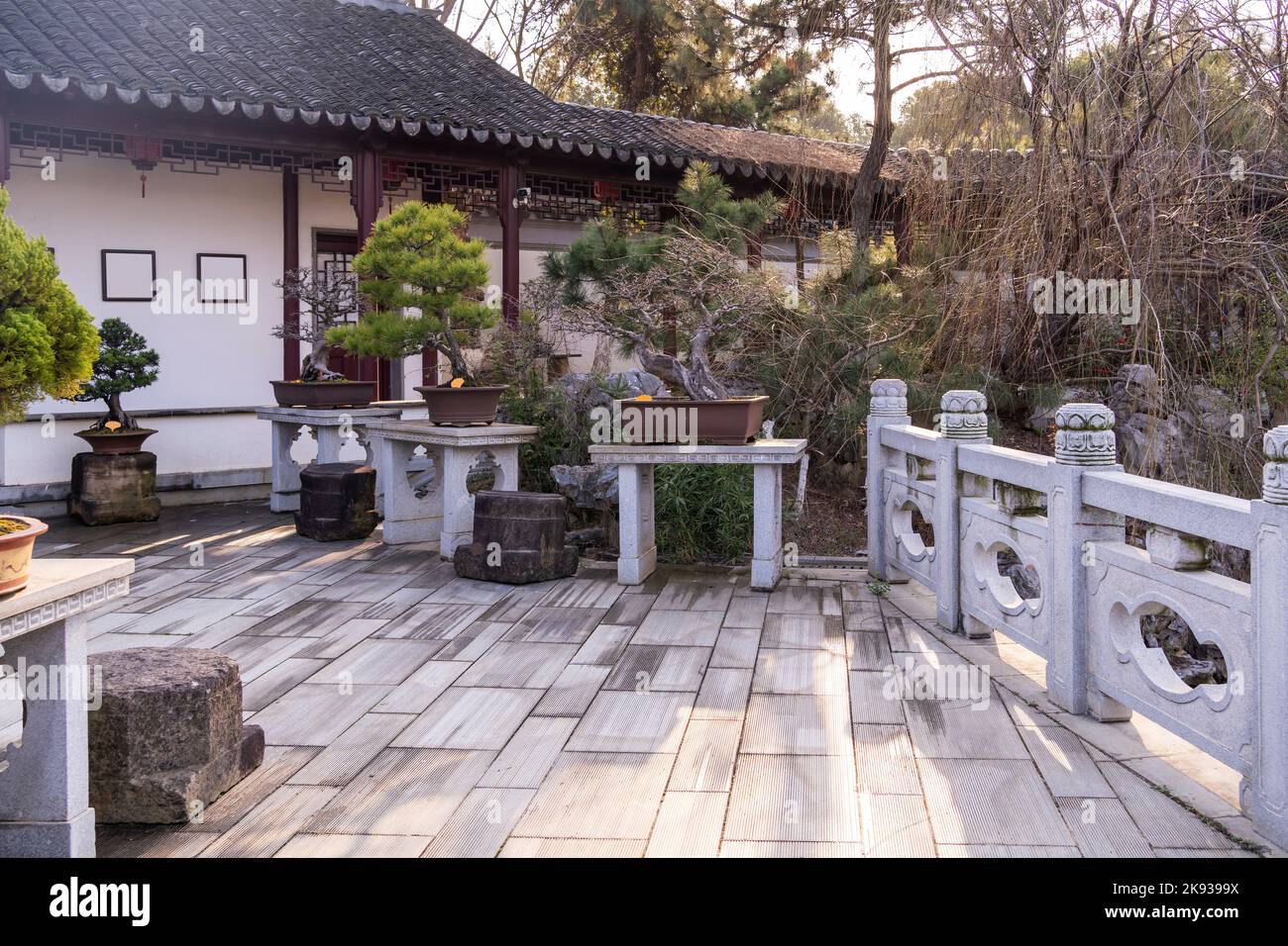 Original traditional Chinese art penjing or penzai. Miniature living