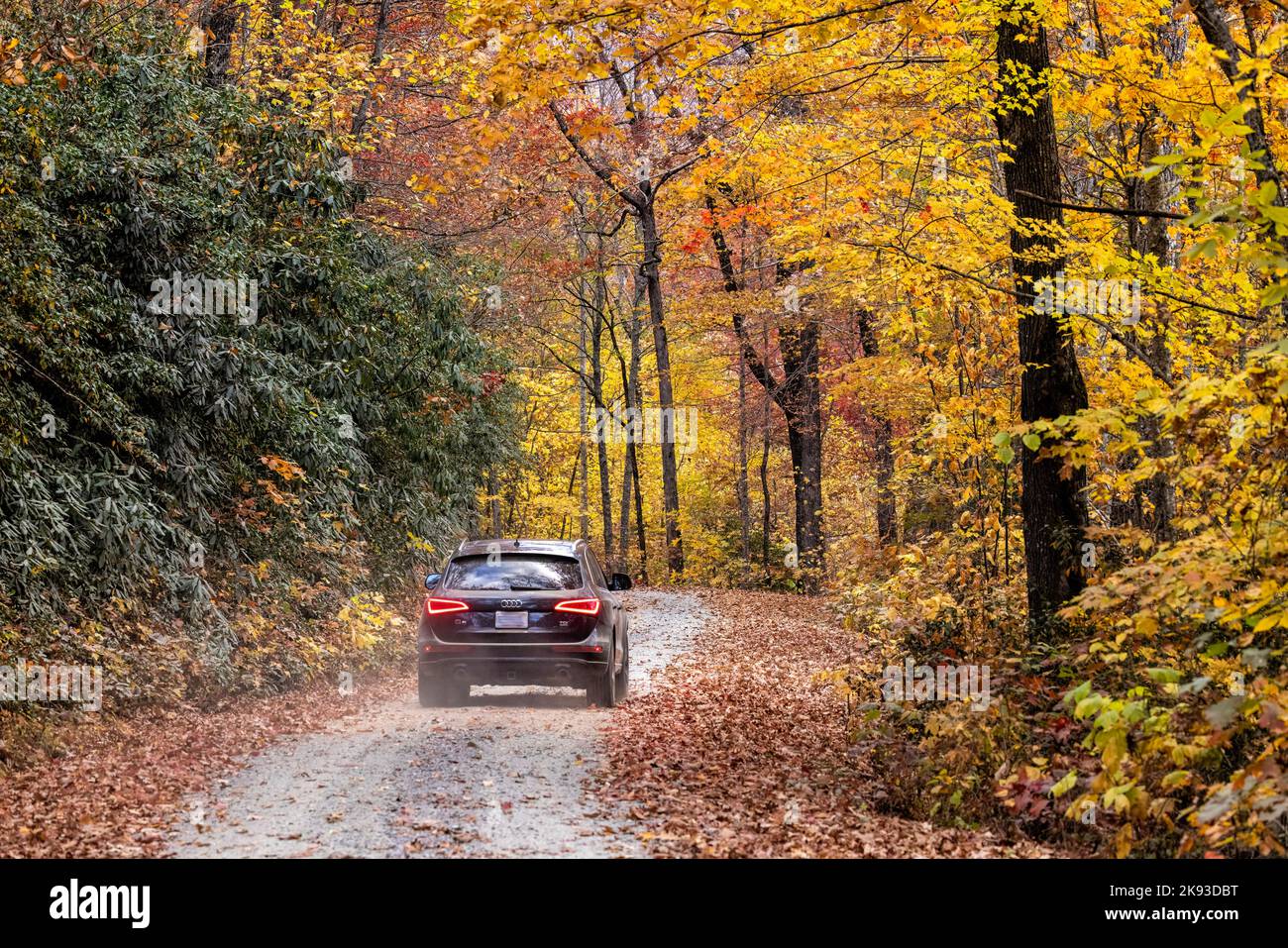 Automobile driving down dirt road through vibrant fall foliage in Pisgah National Forest, Brevard, North Carolina, USA Stock Photo