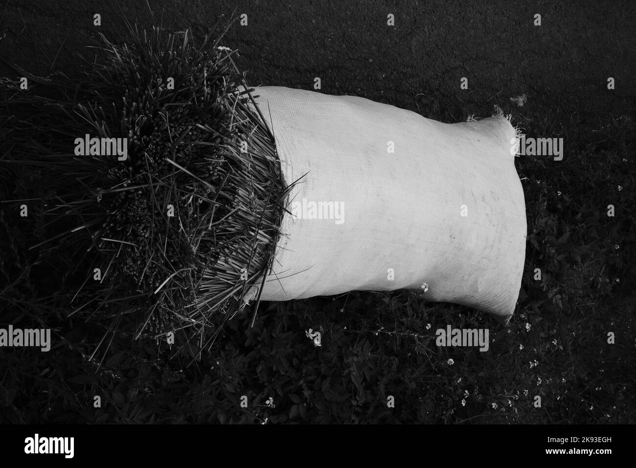 Black and white photo, Monochrome photo of a sack of straw in the Cikancung area - Indonesia Stock Photo