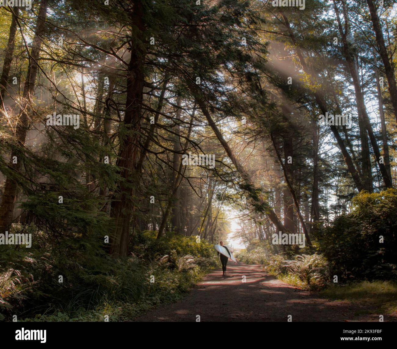 pacific rim trail Stock Photo Alamy