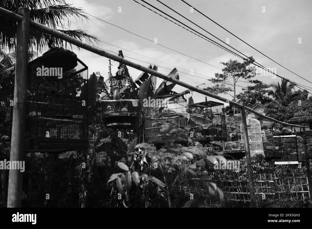 Black and white photo, Monochrome photo of a bird cage hanging on a rope in the Cikancung area - Indonesia Stock Photo