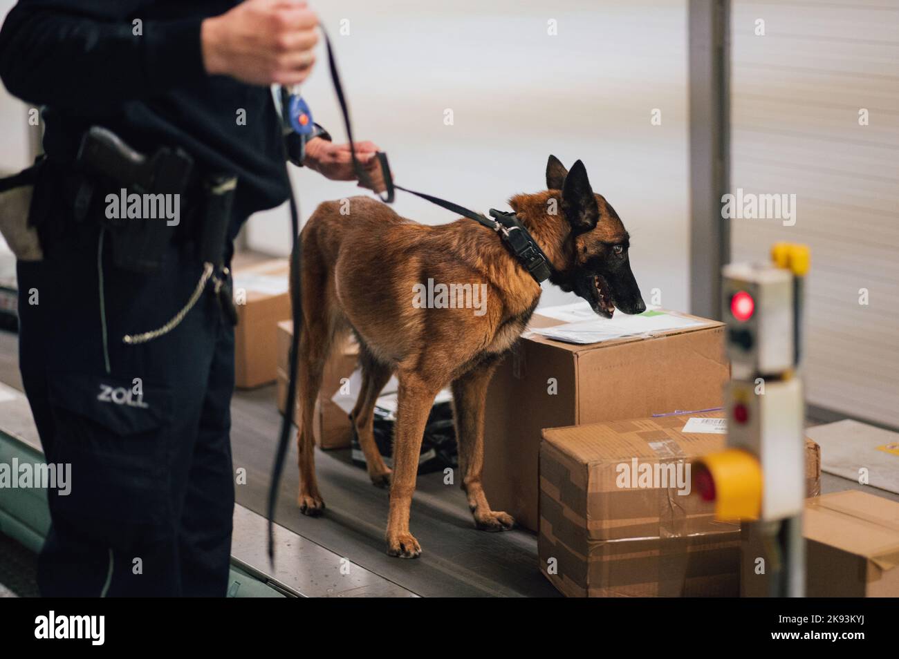 Cologne, Germany. 21st Oct, 2022. A customs dog handler searches for packages containing drugs with his sniffer dog in the cargo area of Cologne/Bonn Airport. Customs checks several hundred packages every night in search of drugs. Credit: Marius Becker/dpa/Alamy Live News Stock Photo