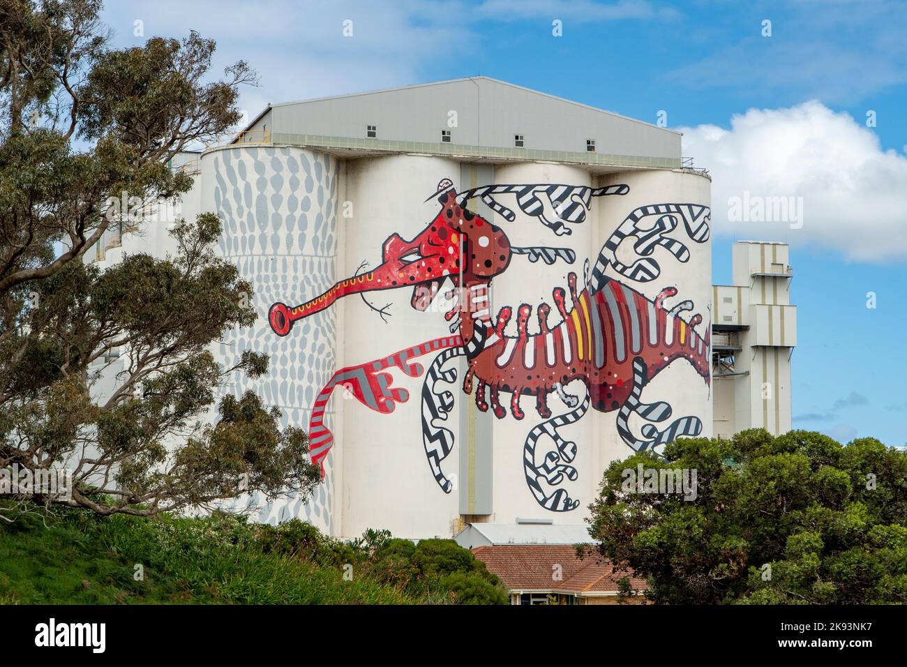 Red Dragon Silo Art, Albany, WA, Australia Stock Photo