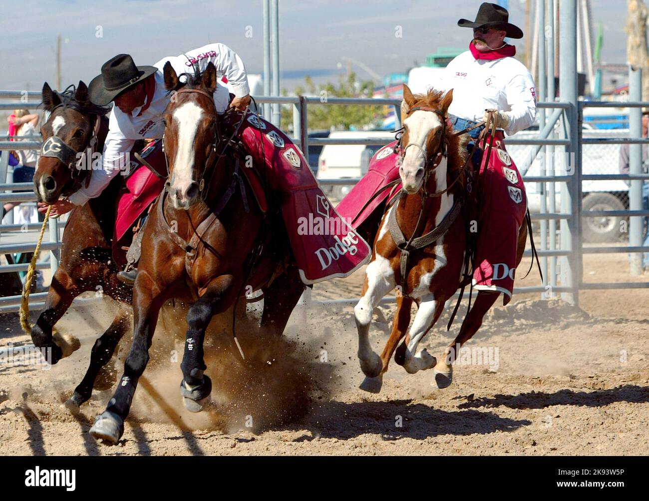 Calvin Amy and Brett Reeder / Saddle bronc Stock Photo