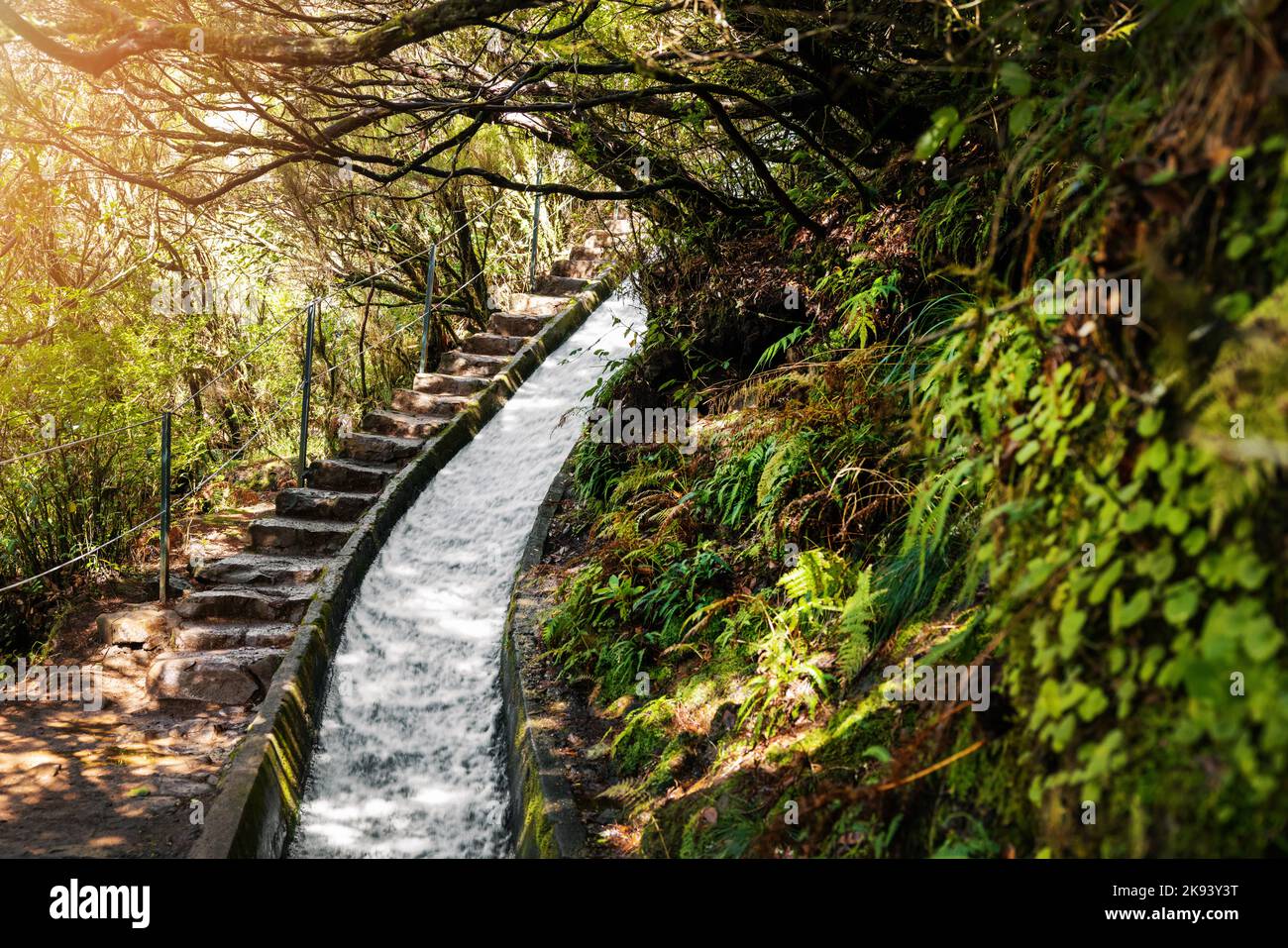 Levada hiking trail in Madeira island Stock Photo