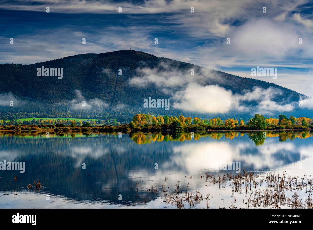 Leaves the good morning hi-res stock photography and images - Alamy