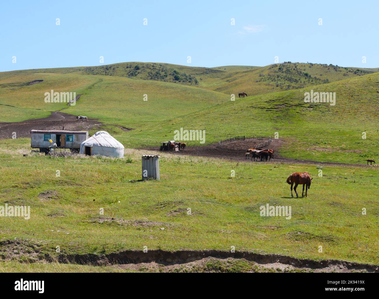 Traditional yurt in the wide landscape of Central Asia Stock Photo - Alamy