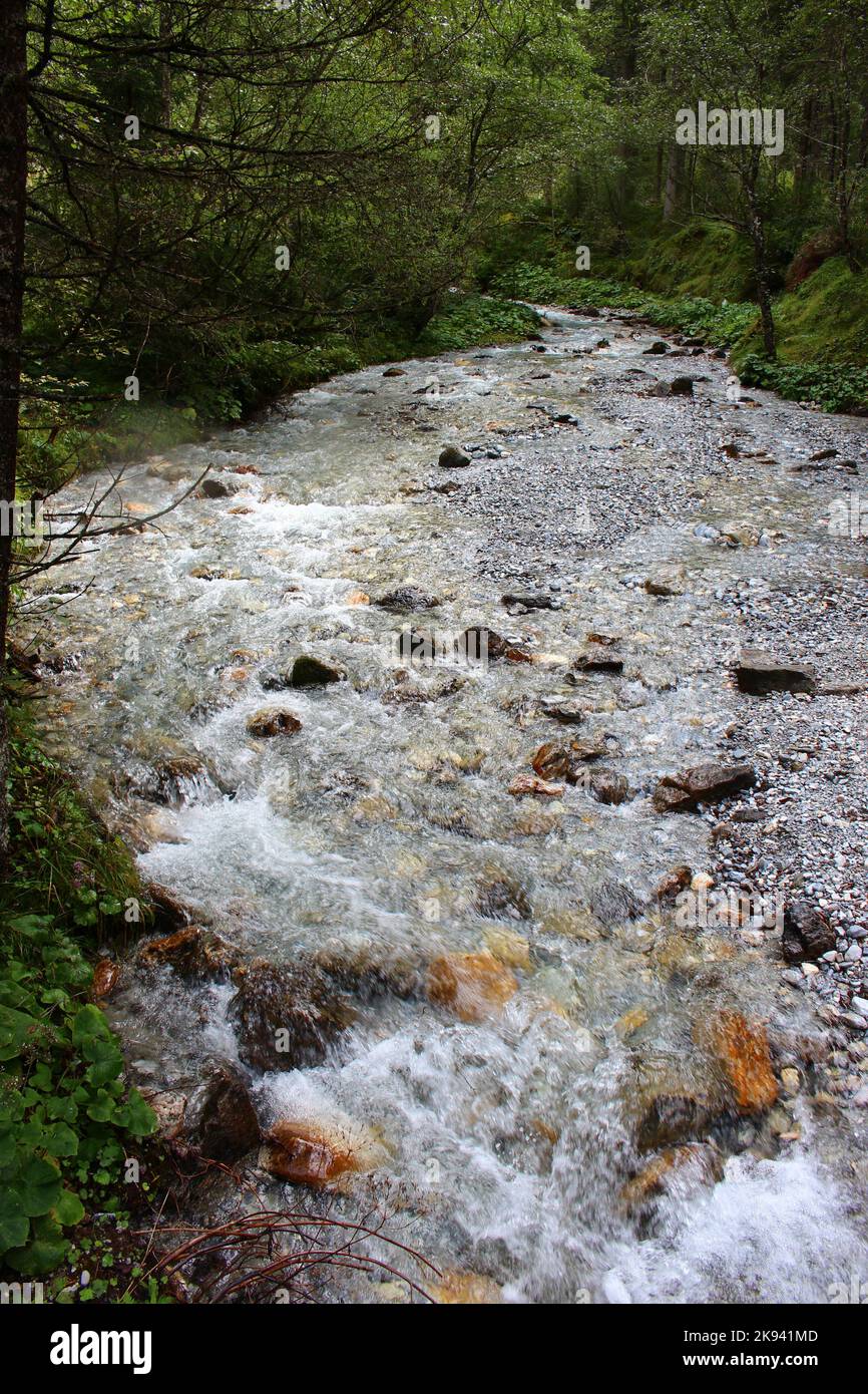 Woods forest stream mountain hi-res stock photography and images - Alamy
