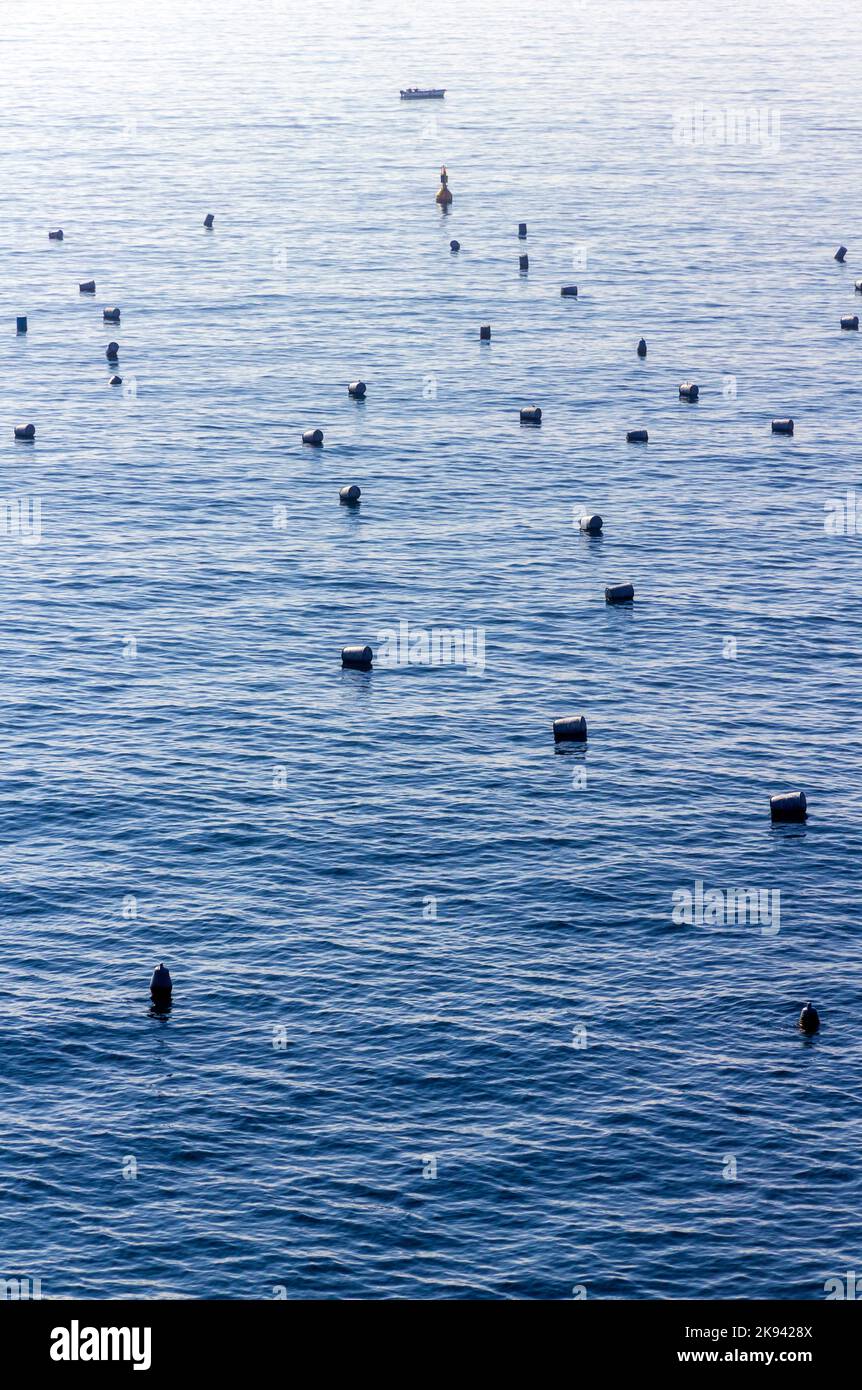 mussel beds and buoys Napoli Stock Photo