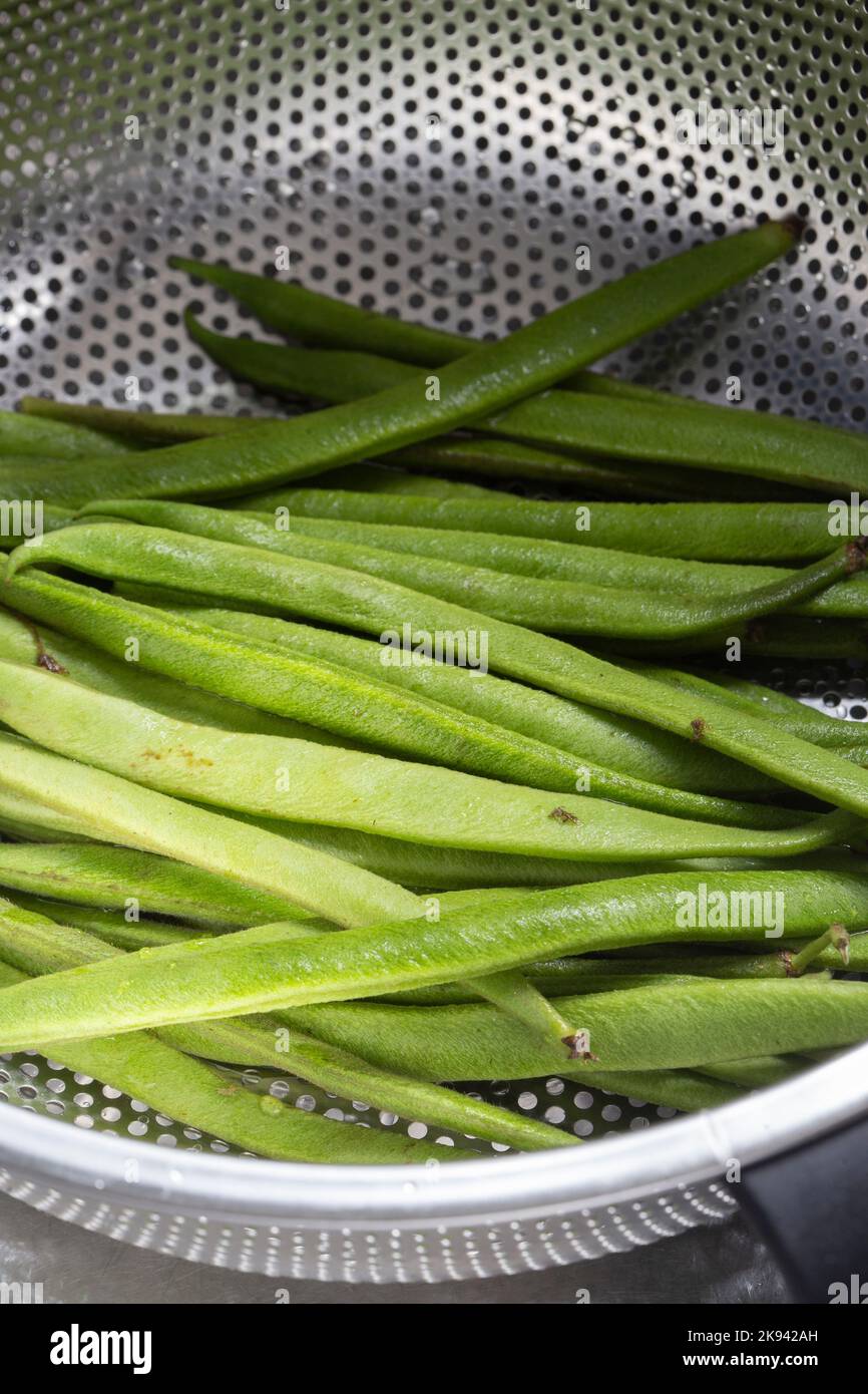 Green beans washed and cleaned in a metal colander strainer Stock Photo