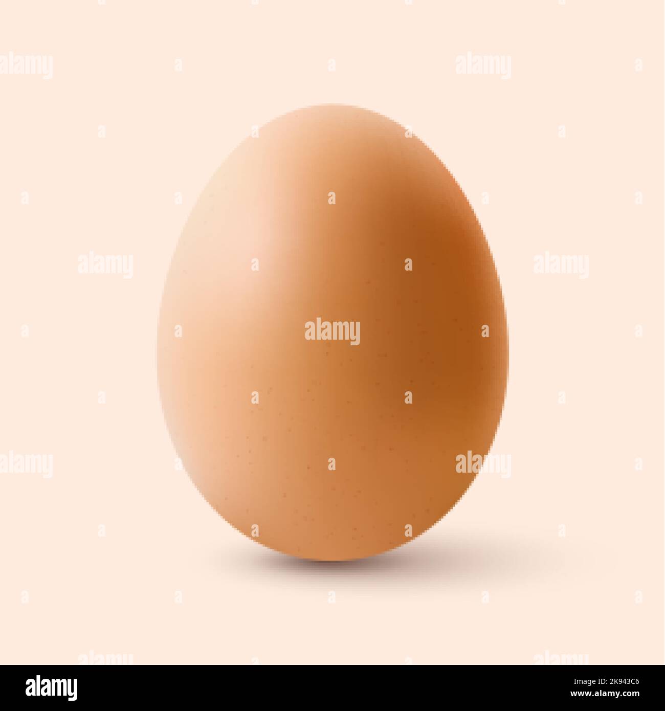 Fresh Organic Chicken Egg. Realistic Chicken Brown Egg with Shadow