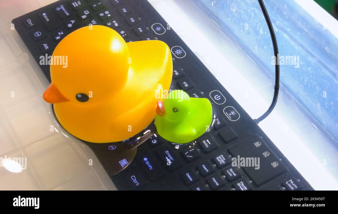 Yellow duck on the black keyboard background. Cute rubber ducks. Keyboard under the water Stock