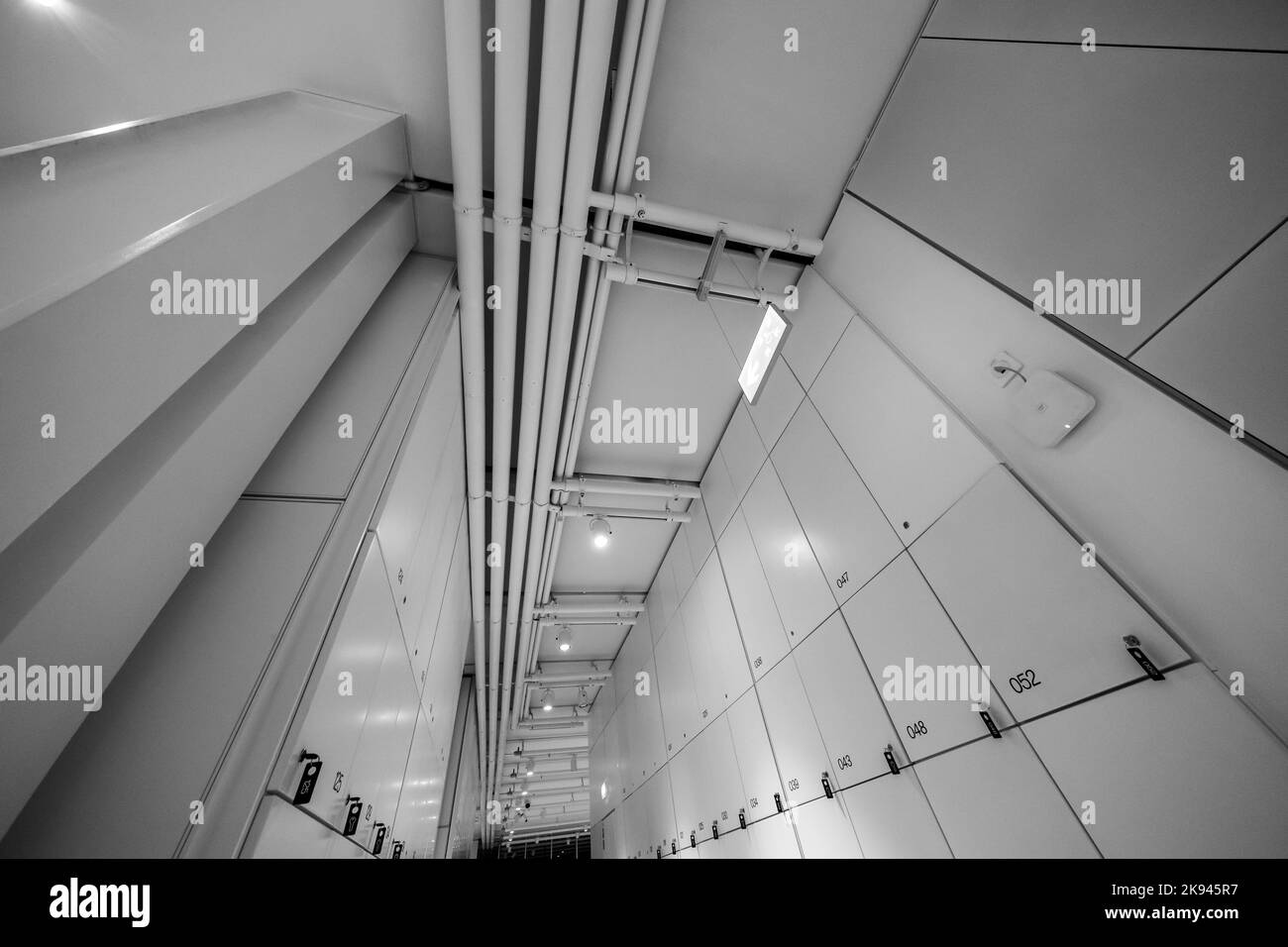 Modern interior of locker room Stock Photo Alamy
