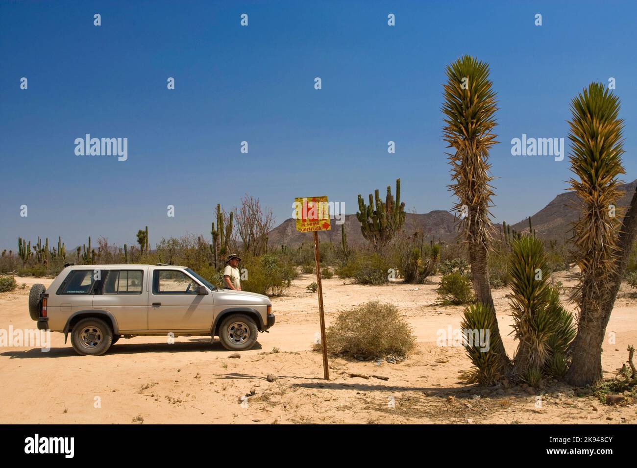 SUV, Tree Yucca on dirt road to Mision Santa Gertrudis, Baja California, Mexico Stock Photo