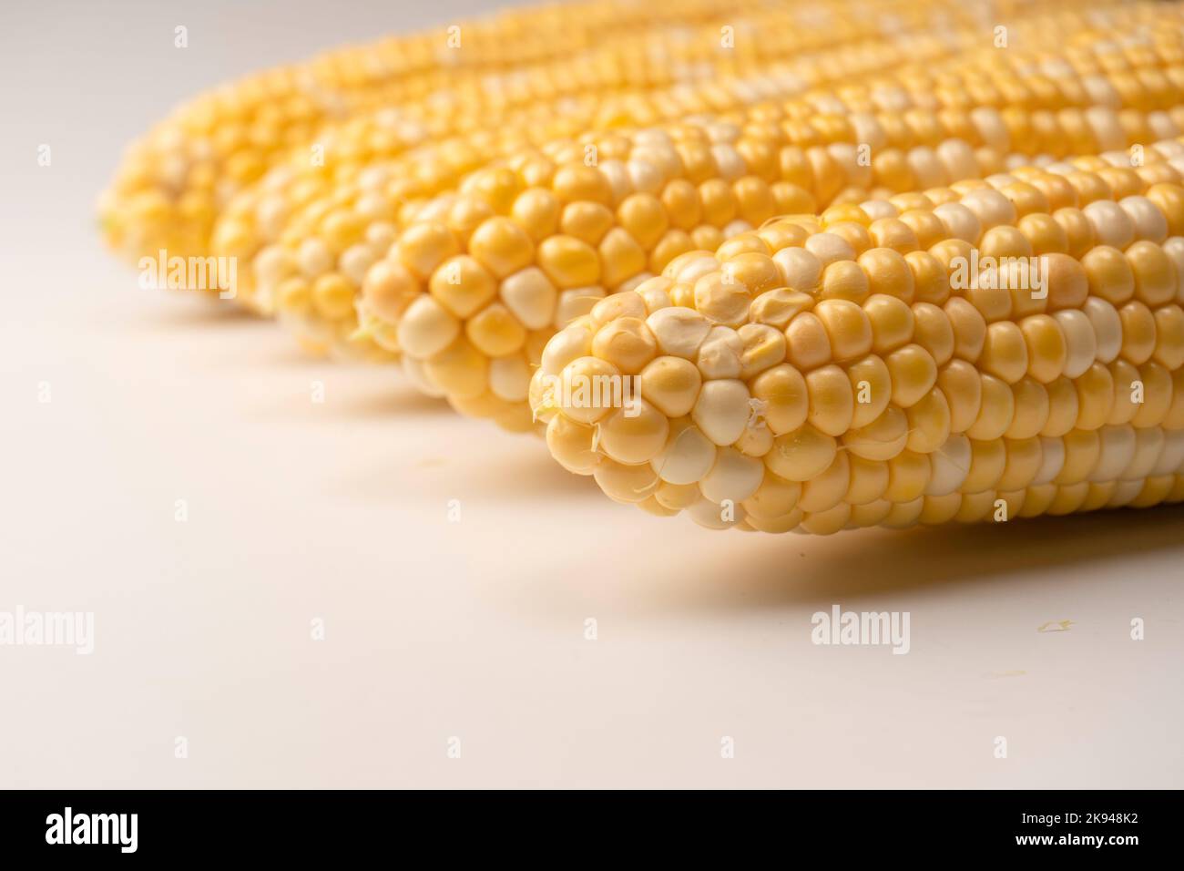 Yellow sweet corn isolated on white background. Copyspace. Stock Photo