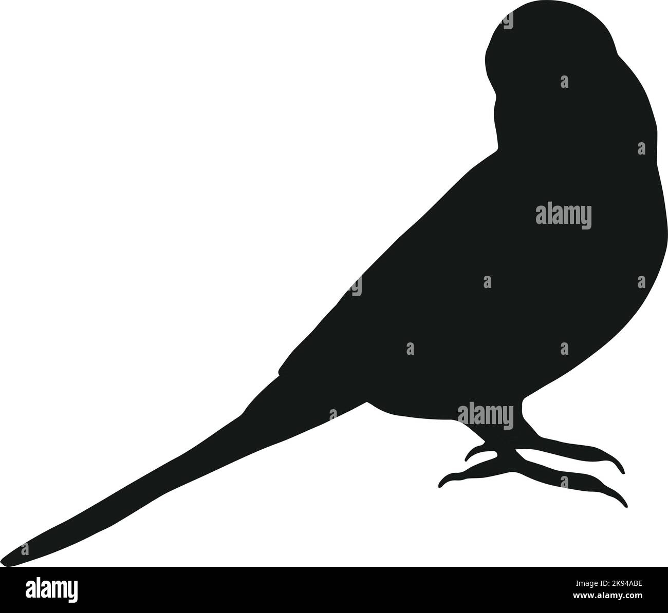 Budgie silhouette isolated on white background. Black hand drawn vector art of a pet bird. Simple vector illustration of an animal Stock Vector