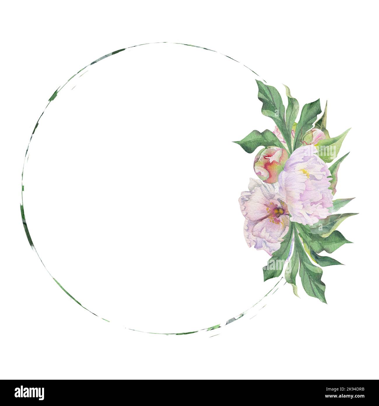 Watercolor circle frame arrangement with hand drawn delicate pink peony ...
