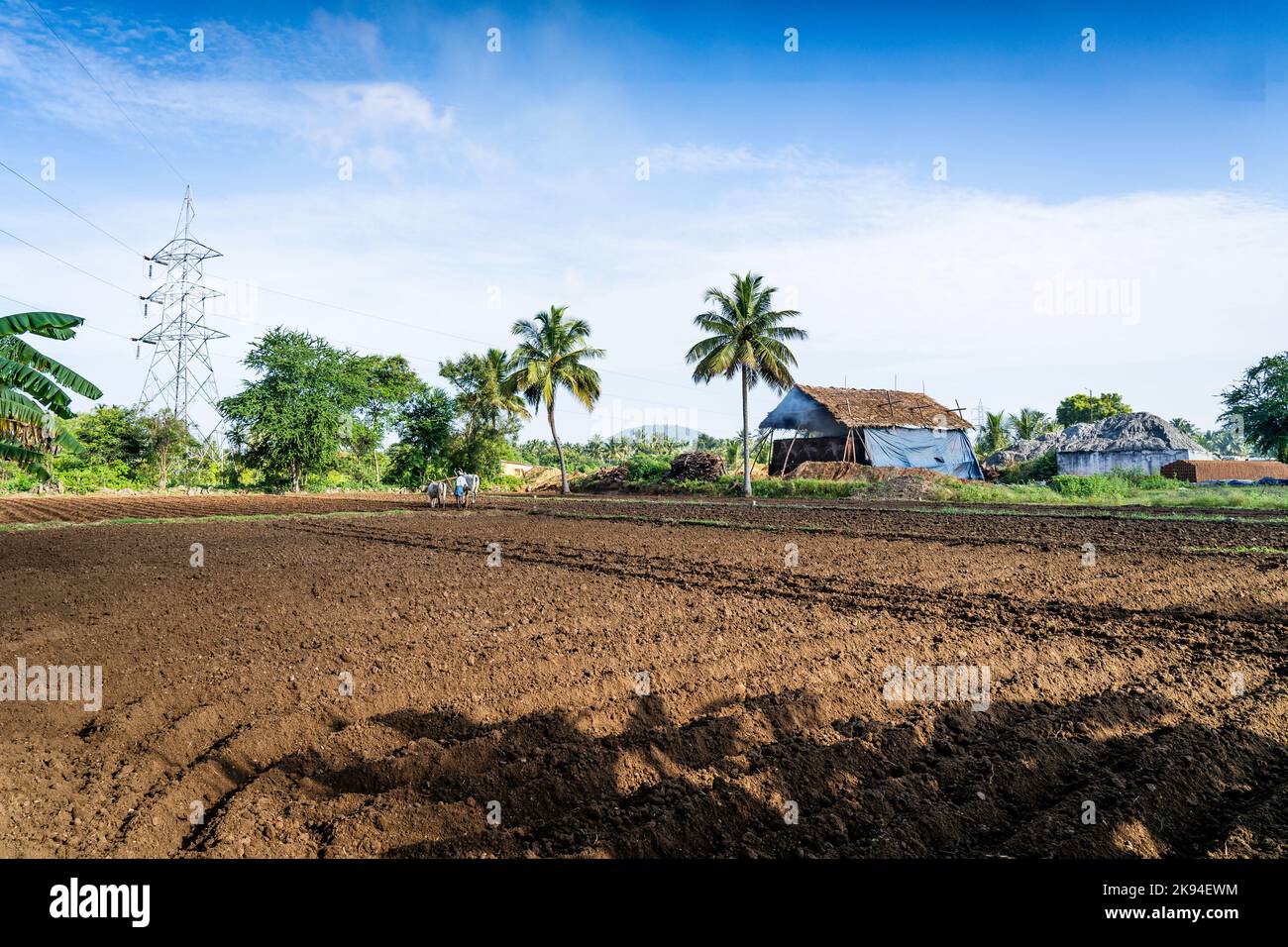 Colors of Rural life in Tamilnadu, south India. 10th September 2022 Stock Photo Alamy