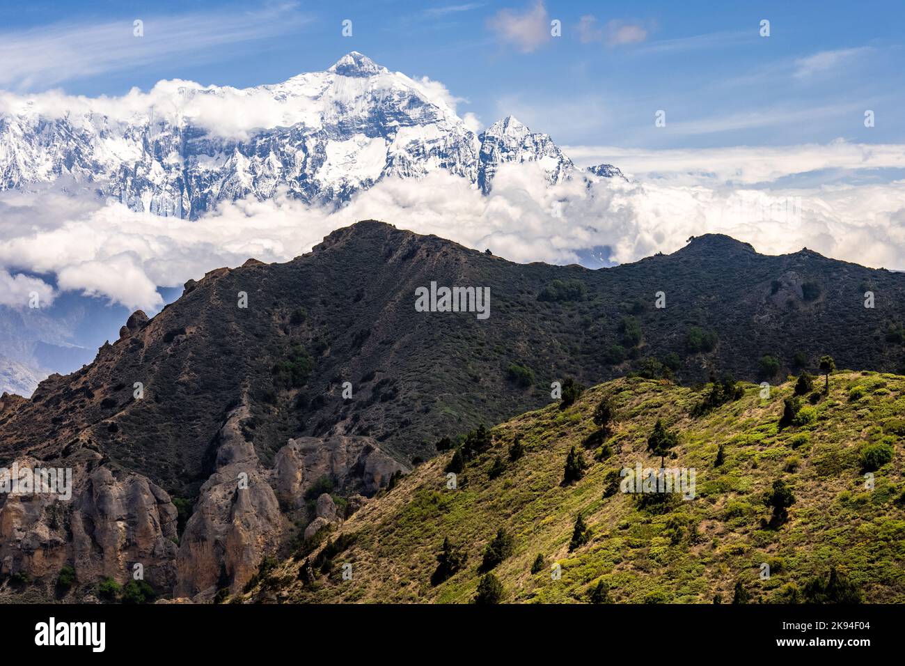 Nilgiri mountains deals