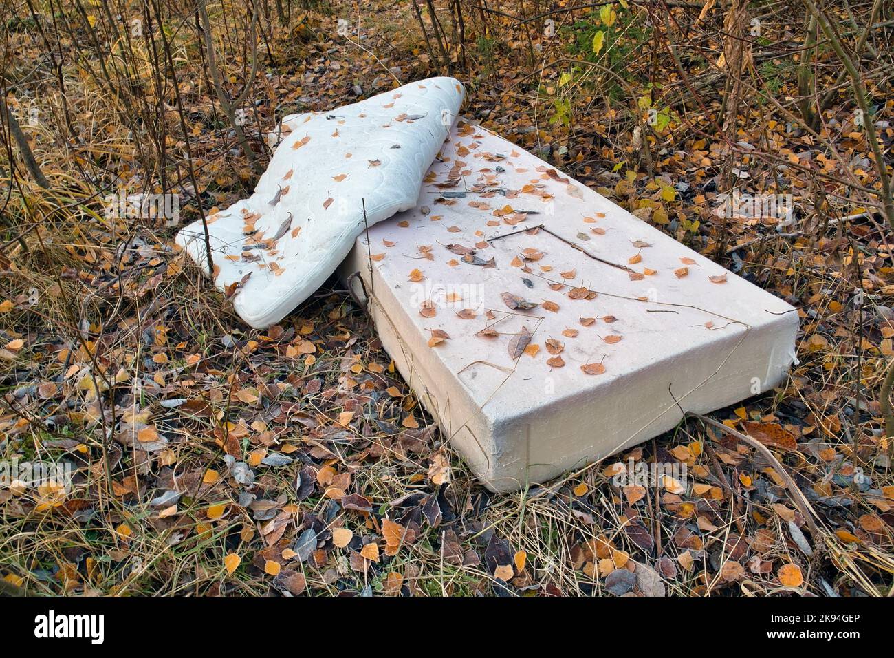 old abandoned mattress in forest Stock Photo - Alamy