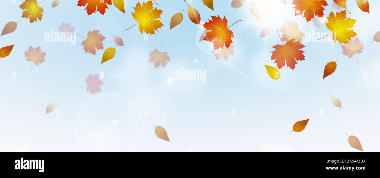 autumn golden yellow leaves in the wind. sunny autumn day banner decoration Stock Photo