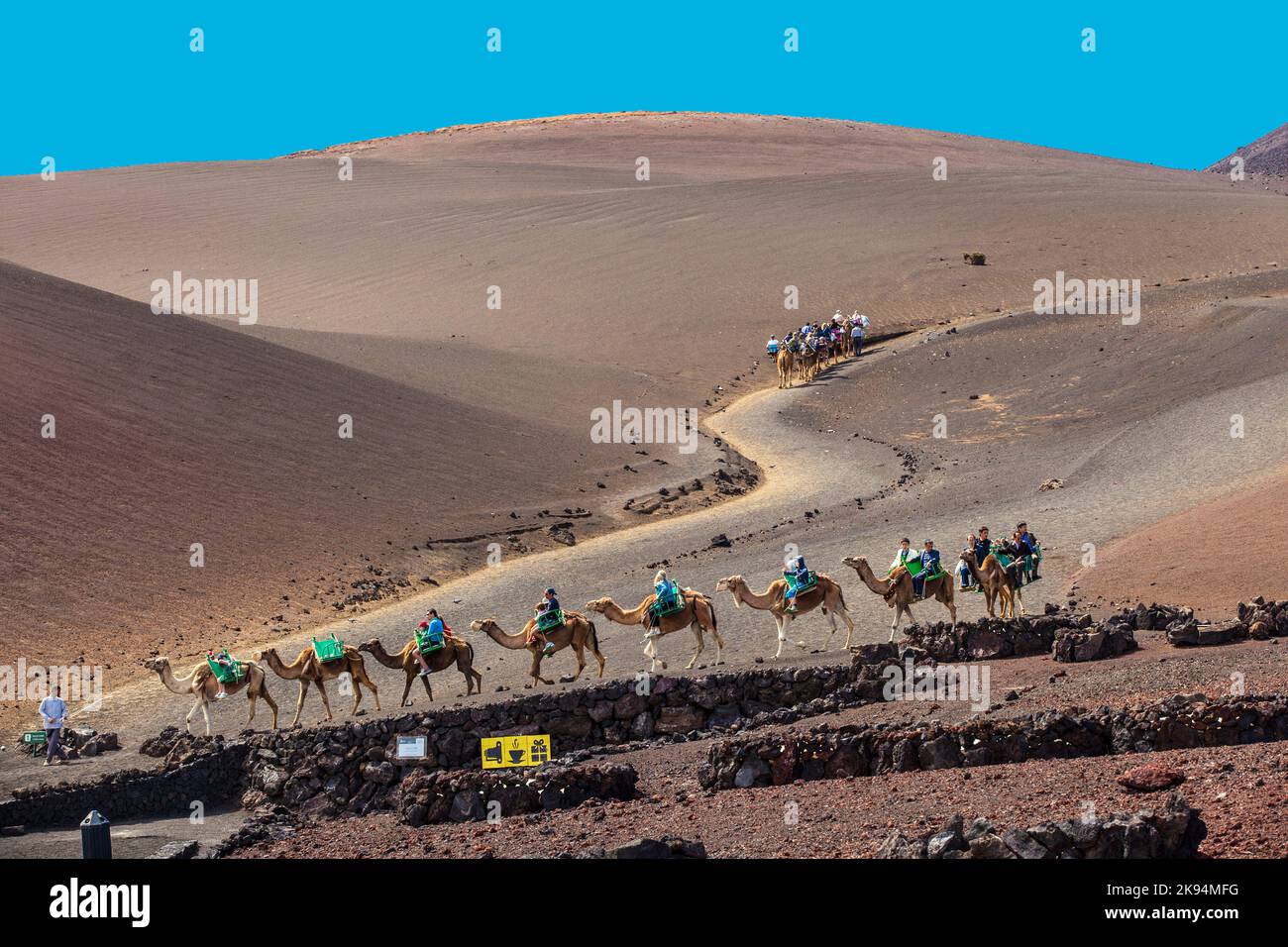 lanzarote-spain-april-5-camel-riding-for-tourists-to-volcanic-cones