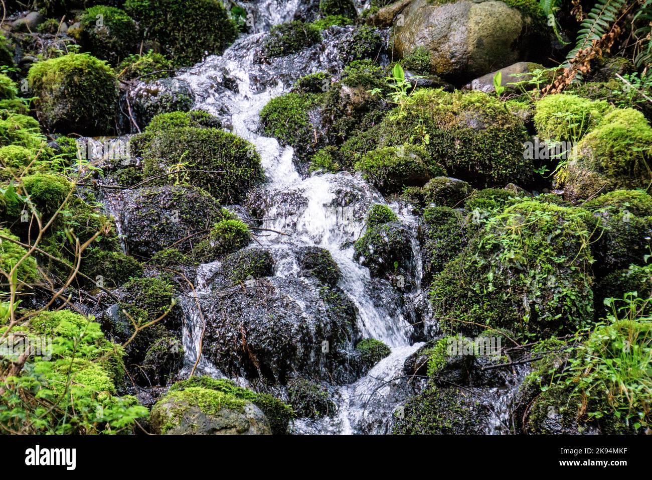 A scenic view of waterfall flowing down the rocks covered with green ...