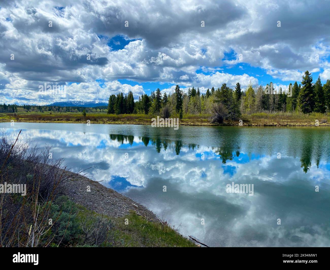 The reflections of scenic trees and clouds on the water Stock Photo - Alamy