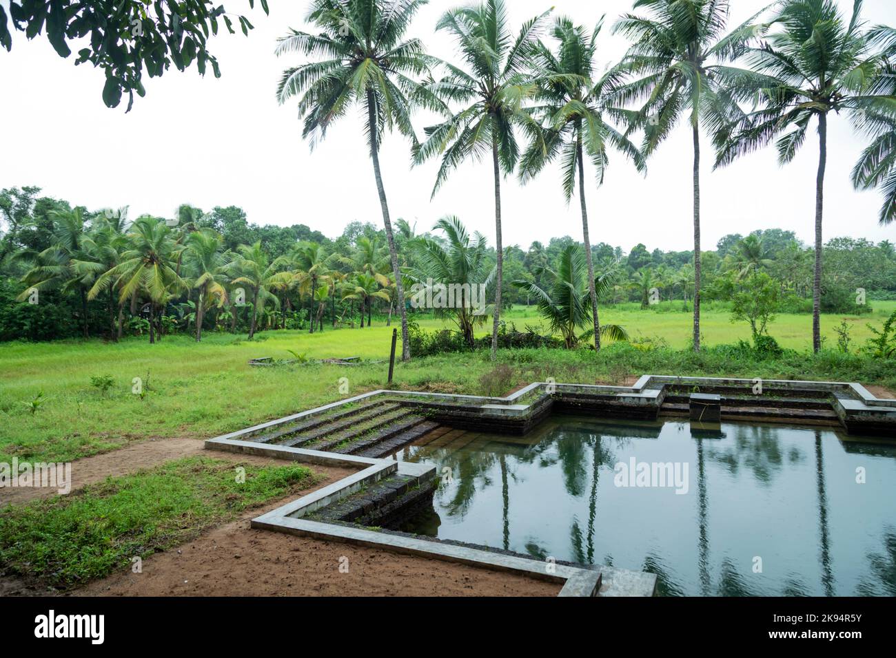 Beautiful temple fresh water ponds from Kerala Stock Photo Alamy
