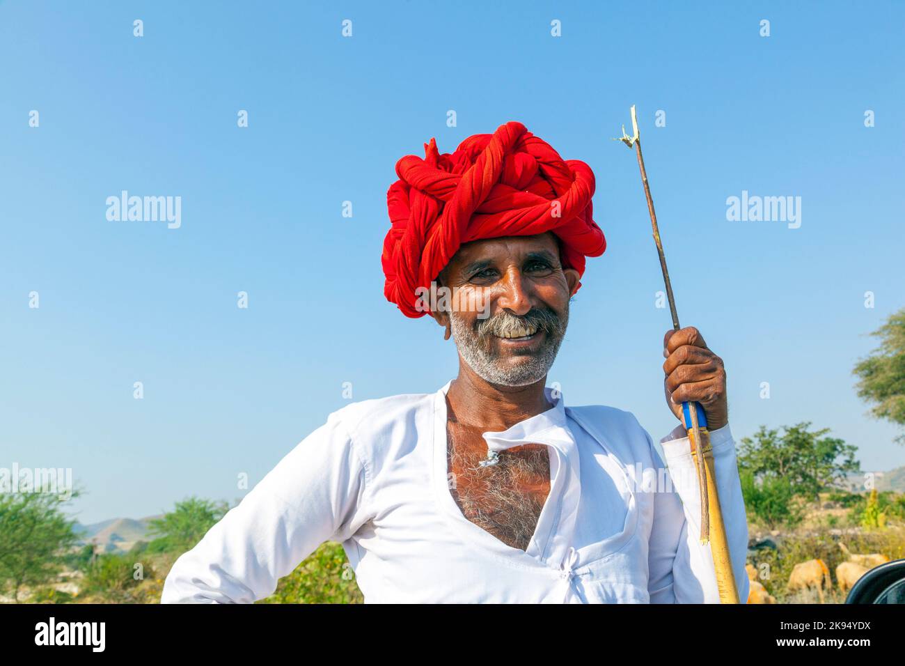 PUSHKAR, INDIA - OCTOBER 22: A Rajasthani tribal man wearing traditional colorful turban and loves to pose  at the annual Pushkar Cattle Fair on Octob Stock Photo