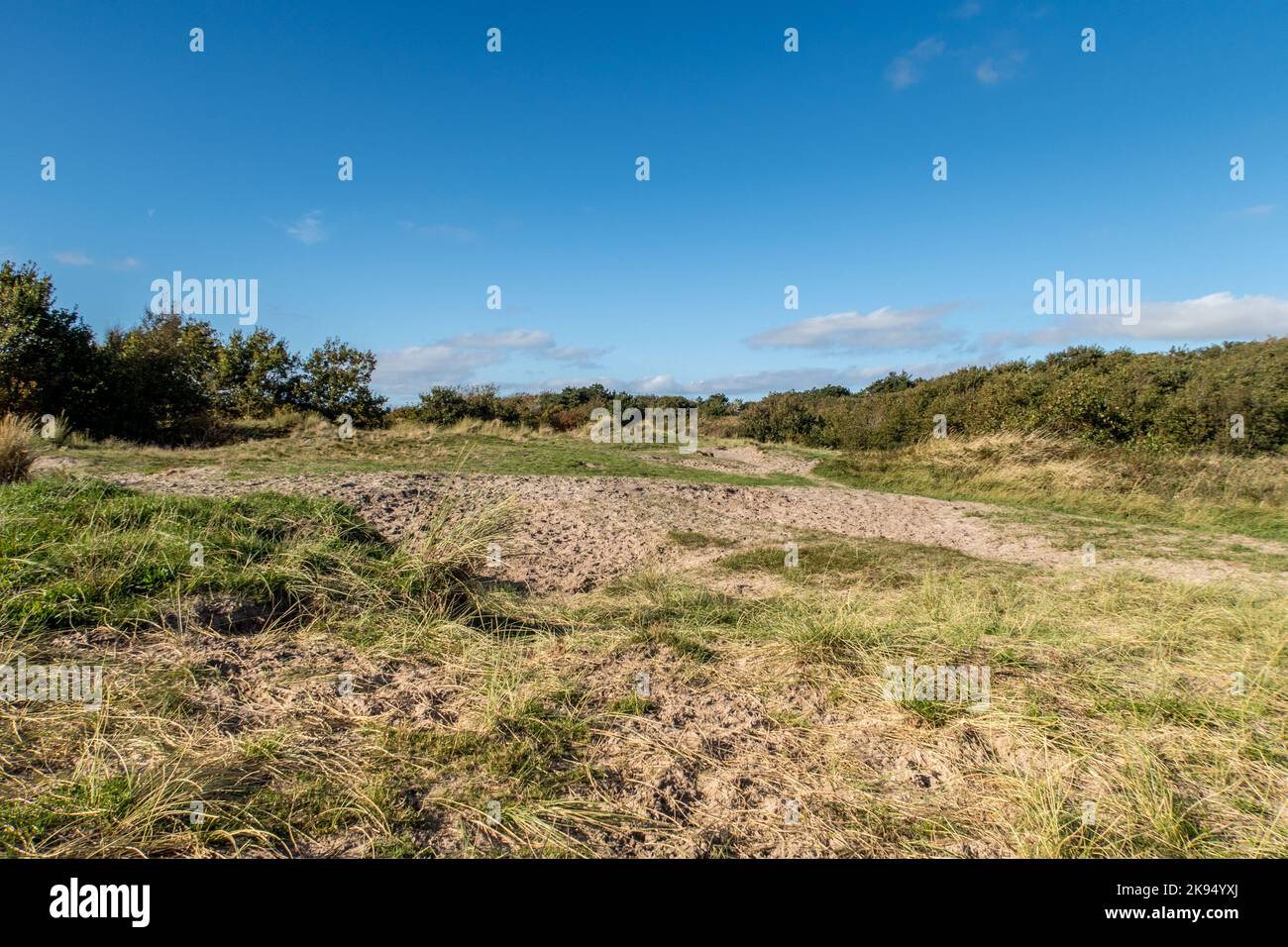 Den Helder, Netherlands. Oktober 2022. The dune landscape at the ...